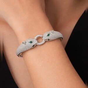 اسورة استانلس C8